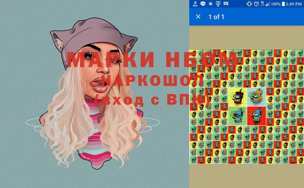 шишки Бердск